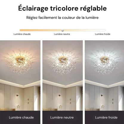 Plafonnier LED en cristal pissenlit – doré ou argenté