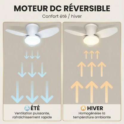 Ventilateur de plafond LED moderne – 3 pales dimmable